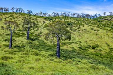 Lifestyle For Sale - QLD - West Haldon - 4359 - Lot 32 'BULL HILL NORTH'  (Image 2)