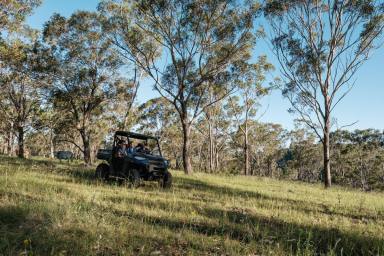 Lifestyle For Sale - QLD - West Haldon - 4359 - Lot 32 'BULL HILL NORTH'  (Image 2)