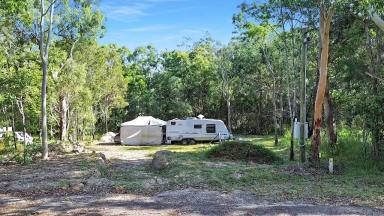 Residential Block For Sale - QLD - Macleay Island - 4184 - An Easy Yes! Build Ready & Exceptionally Private  (Image 2)