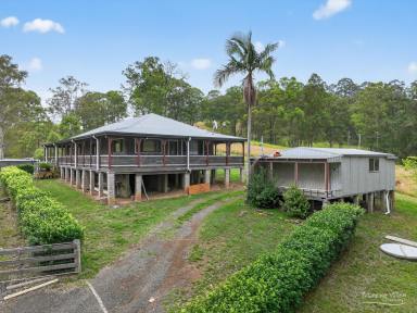 Acreage/Semi-rural For Sale - NSW - Cedar Party - 2429 - Private Rural Retreat – Just Minutes from Wingham  (Image 2)