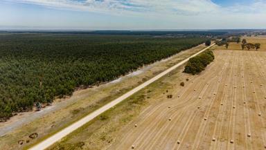 Mixed Farming For Sale - SA - Wattle Range - 5280 - INSTITUTIONAL-SCALE AGRICULTURAL PORTFOLIO  (Image 2)