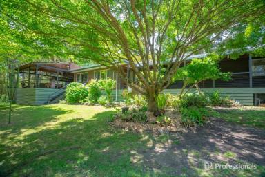 House For Sale - VIC - Yarra Junction - 3797 - PEACE, PRIVACY & SPECIAL LIFESTYLE 3.5 ACRES APPROX  (Image 2)
