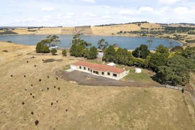 House For Sale - VIC - Camperdown - 3260 - Modern Family Living on 13.5ha  (Image 2)