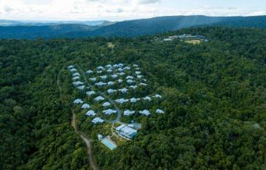 Villa For Sale - QLD - O'Reilly - 4275 - Mt Villa @ O'Reilly's (Image 2)