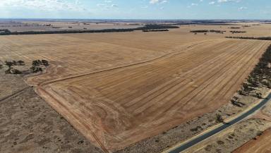 Cropping For Sale - VIC - Springfield - 3434 - Sale by Tender - "McErvales"  (Image 2)