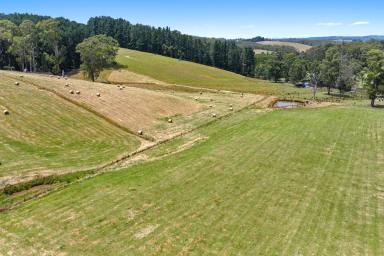 Lifestyle For Sale - VIC - Crossover - 3821 - Productive Acreage Escape - Views, Water & Outstanding Infrastructure  (Image 2)