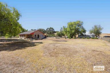 House For Sale - VIC - Wickliffe - 3379 - Superb permanent residence or rural retreat  (Image 2)