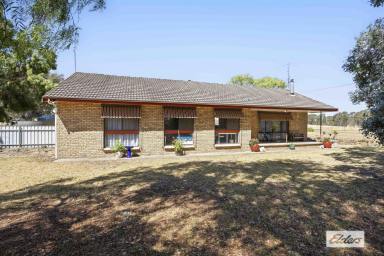 House For Sale - VIC - Wickliffe - 3379 - Superb permanent residence or rural retreat  (Image 2)