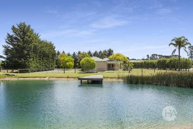 Acreage/Semi-rural For Sale - VIC - Somerville - 3912 - Renovated Brilliance with Excellent Enterprise Infrastructure  (Image 2)