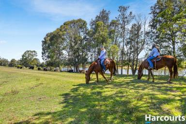 Acreage/Semi-rural For Sale - NSW - Hinton - 2321 - Family Cropping Farm with River Frontage – A Rare Lifestyle Opportunity  (Image 2)