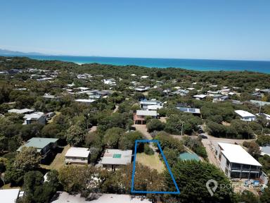 Residential Block For Sale - VIC - Sandy Point - 3959 - BLOCK WITH REGULAR WILDLIFE VISITOR  (Image 2)