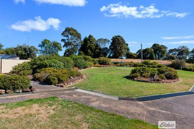 House For Sale - TAS - Mooreville - 7321 - Charming Sandstone Home with Established Gardens  (Image 2)