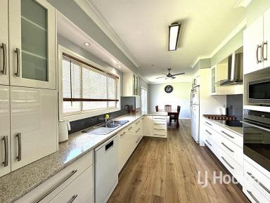 Acreage/Semi-rural For Sale - NSW - Gilgai - 2360 - Lifestyle Block at Gilgai  (Image 2)