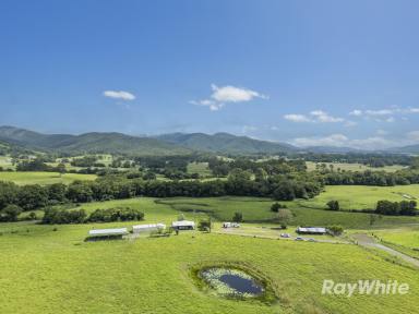 Other (Rural) For Sale - NSW - Bulahdelah - 2423 - Productive Cattle Country  (Image 2)
