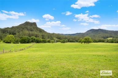 Acreage/Semi-rural Sold - NSW - Upper Lansdowne - 2430 - Premium Rural Living With An Unmatched Outlook (Image 2)
