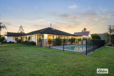 Acreage/Semi-rural Sold - NSW - Upper Lansdowne - 2430 - Premium Rural Living With An Unmatched Outlook (Image 2)