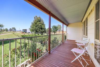 Cropping Auction - NSW - Tamworth - 2340 - RURAL LIFESTYLE LIVING ON THE EDGE OF TOWN  (Image 2)