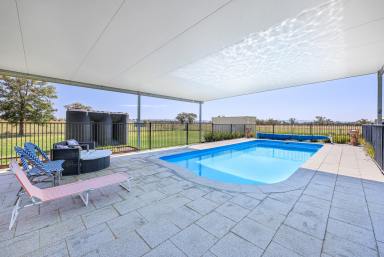 Cropping Auction - NSW - Tamworth - 2340 - RURAL LIFESTYLE LIVING ON THE EDGE OF TOWN  (Image 2)
