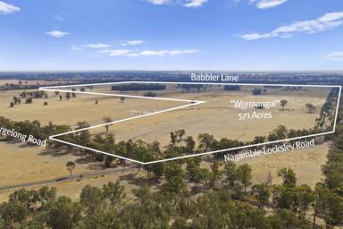 Mixed Farming For Sale - VIC - Tabilk - 3607 - "Wormangal" – A Significant Landholding in the Heart of the Goulburn Valley  (Image 2)