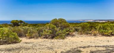 House For Sale - WA - Kalbarri - 6536 - Affordable Coastal Gem in Kalbarri  (Image 2)