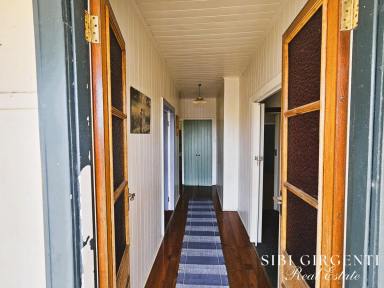 House For Sale - QLD - Mareeba - 4880 - INVESTMENT OR NEST OPPORTUNITY IN MAREEBA  (Image 2)