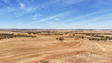 Residential Block For Sale - WA - Irishtown - 6401 - "RARE IRISHTOWN OPPORTUNITY"  (Image 2)