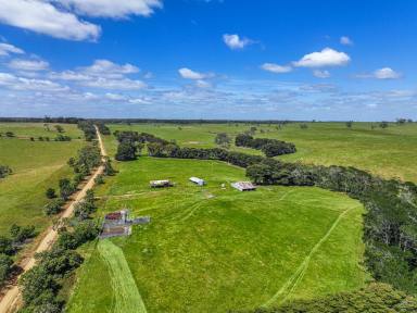 Livestock For Sale - VIC - Killara - 3312 - Scale, Secure Water & Productivity – 459ha Grazing Opportunity  (Image 2)