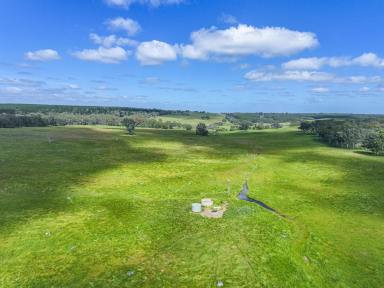 Livestock Auction - VIC - Sandford - 3312 - 156ac Well-Located Grazing Block with Secure Water  (Image 2)