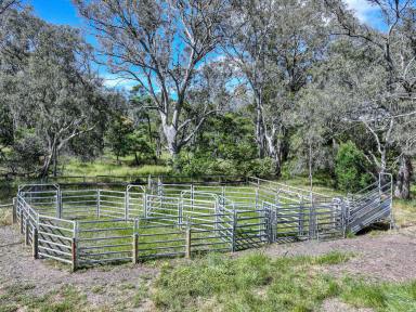 Livestock Auction - VIC - Sandford - 3312 - 156ac Well-Located Grazing Block with Secure Water  (Image 2)