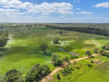 Livestock Auction - VIC - Sandford - 3312 - 156ac Well-Located Grazing Block with Secure Water  (Image 2)