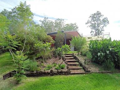 Lifestyle For Sale - QLD - Ravenshoe - 4888 - Beauty on Greys Lane  (Image 2)