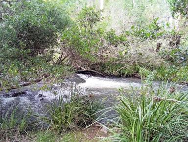 Lifestyle For Sale - QLD - Ravenshoe - 4888 - Beauty on Greys Lane  (Image 2)