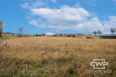 Residential Block For Sale - NSW - Glen Innes - 2370 - 1ha Block Close To Town  (Image 2)