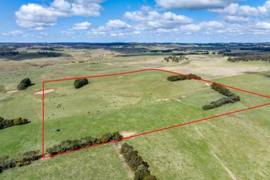 Other (Rural) For Sale - NSW - Taralga - 2580 - 'Rozelle' of 'Willowvale Farms'  (Image 2)