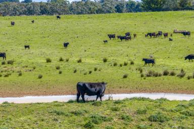 Other (Rural) For Sale - NSW - Taralga - 2580 - 'Rozelle' of 'Willowvale Farms'  (Image 2)