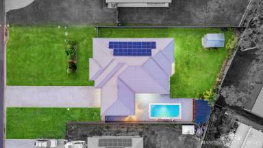 House Sold - QLD - Mareeba - 4880 - MODERN FAMILY LIVING WITH POOLSIDE PERFECTION  (Image 2)