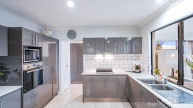 House For Sale - QLD - Mareeba - 4880 - MODERN FAMILY LIVING WITH POOLSIDE PERFECTION  (Image 2)