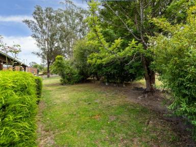 House For Sale - NSW - Quaama - 2550 - CHARMING VILLAGE LIVING IN THE HEART OF QUAAMA - IDEAL FIRST HOME OR DOWNSIZER  (Image 2)