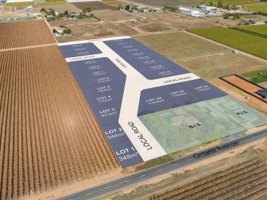 Residential Block For Sale - VIC - Mildura - 3500 - Prime Location, Generous Opportunity  (Image 2)