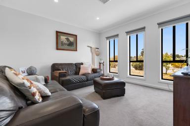 House For Sale - VIC - Irymple - 3498 - Half-an-acre family home in Irymple!  (Image 2)
