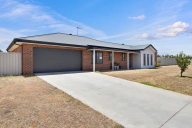 House For Sale - VIC - Irymple - 3498 - Half-an-acre family home in Irymple! (Image 2)