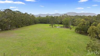 Lifestyle For Sale - NSW - Ellalong - 2325 - Coral Oaks and The Bale – A private Hunter Valley Sanctuary  (Image 2)