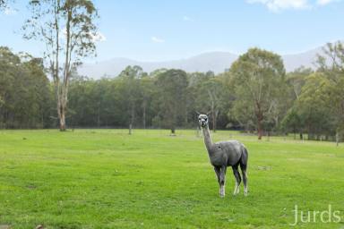 Lifestyle For Sale - NSW - Ellalong - 2325 - Coral Oaks and The Bale – A private Hunter Valley Sanctuary  (Image 2)