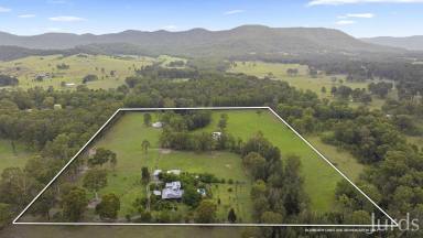 Lifestyle Sold - NSW - Ellalong - 2325 - Coral Oaks and The Bale – A private Hunter Valley Sanctuary  (Image 2)