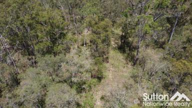 Residential Block For Sale - QLD - Gaeta - 4671 - Almost 25 Acres of Untapped Potential  (Image 2)