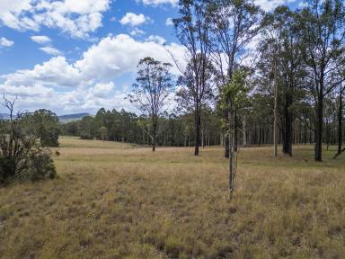 Residential Block For Sale - NSW - Wallarobba - 2420 - Build Your Dream Rural Escape  (Image 2)