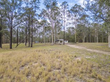 Residential Block For Sale - NSW - Wallarobba - 2420 - Build Your Dream Rural Escape (Image 2)