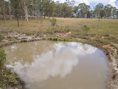 Residential Block For Sale - NSW - Wallarobba - 2420 - Build Your Dream Rural Escape (Image 2)