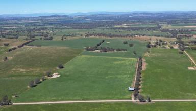 Residential Block For Sale - VIC - Gooramadda - 3685 - "Morris's" in Subdivision  (Image 2)