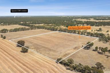 Residential Block For Sale - VIC - Goornong - 3557 - Versatile Farming & Lifestyle Allotment  (Image 2)